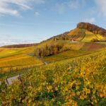 Termine im Herbst / Winter 2025: Tourist-Info Schweinfurt ruft zur kostenlosen Meldung auf