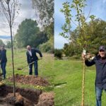 Ein Gewinn für die Natur: Challenge in den sozialen Medien sorgt für mehr Grün in der Stadt Kitzingen