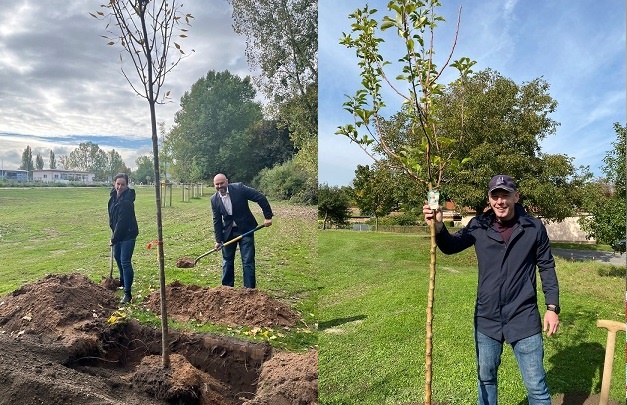 Ein Gewinn für die Natur: Challenge in den sozialen Medien sorgt für mehr Grün in der Stadt Kitzingen