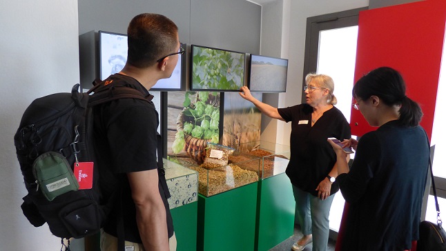 Vom Sudhaus in den kühlen Keller: Öffentliche Führungen in der Neumarkter Lammsbräu