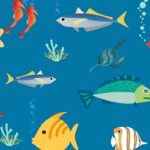 Jetzt mitmachen: Erstmals Kinderjury beim „Meefisch“-Illustrationswettbewerb