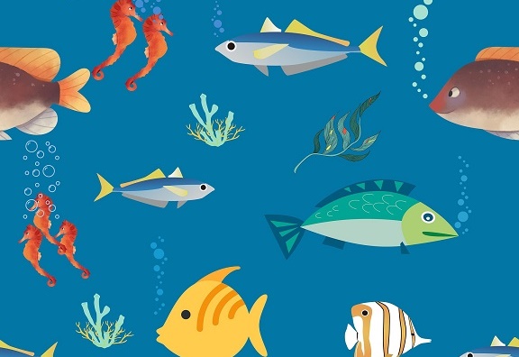 Jetzt mitmachen: Erstmals Kinderjury beim „Meefisch“-Illustrationswettbewerb