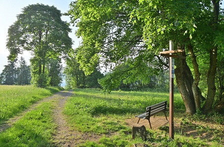 Digitales Schaufenster für das Grüne Band: Neue App und Webseite machen Natur- und Kulturerbe erlebbar