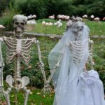 Gruslige Stunden in der Wilhelma: Zoologisch-Botanischer Garten Stuttgart feiert Halloween