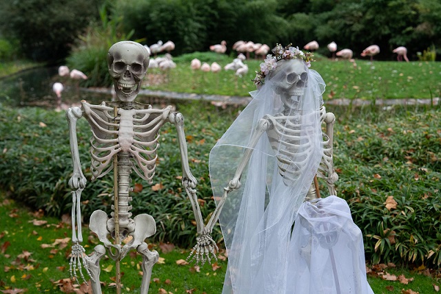 Gruslige Stunden in der Wilhelma: Zoologisch-Botanischer Garten Stuttgart feiert Halloween