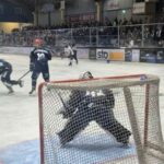 Die Mighty Dogs bauen ihre Siegesserie aus und besiegen die Harzer Falken ein zweites Mal