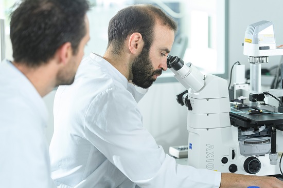 Warum der Energietransport des Herzens bei Hypertropher Kardiomyopathie versagt