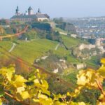 „Wir schaffen einen echten Besuchermagneten“: Neue Leitungsstruktur für das Museum für Franken