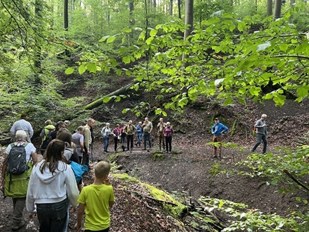 Wissen, Wandern, Wald: Mit den Rangern auf Jubiläumstour