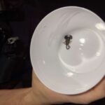 Achtung, giftige Spinnentiere in Mainfranken: Spaziergänger meldet freilaufenden Skorpion an mutige Polizeibeamte