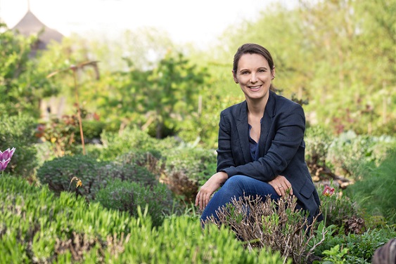 Vortrag am Uniklinikum Würzburg: Waldbaden bei Erschöpfung nach einer Krebserkrankung