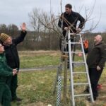 Gemeinsam Streuobstwiesen erhalten: Ausbildung zum zertifizierten Obstbaumpfleger startet zum dritten Mal in Unterfranken