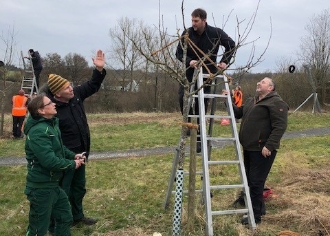 Gemeinsam Streuobstwiesen erhalten: Ausbildung zum zertifizierten Obstbaumpfleger startet zum dritten Mal in Unterfranken