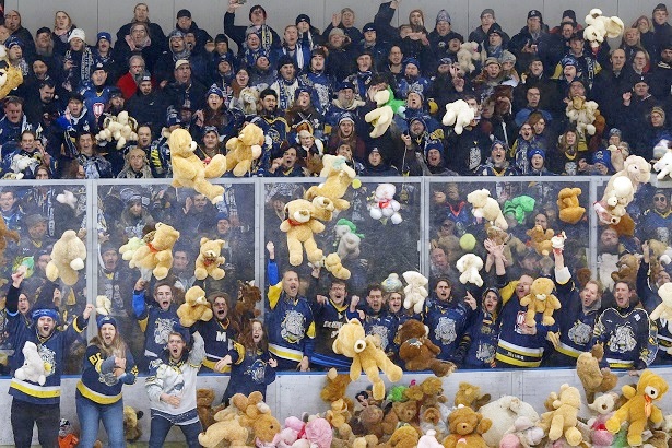 Mighty Dogs: Am Sonntag soll es Teddys „regnen“ – aber Eishockey wird natürlich auch gespielt