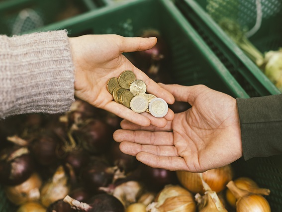 Jetzt Förderanfrage für Öko-Kleinprojekte stellen: Online-Veranstaltung am 17. November informiert