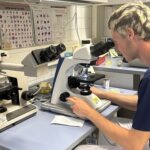 Praxisluft in der Berufswelt schnuppern: Entdecker-Dates brachten Jugendliche und regionale Arbeitgeber in Kontakt