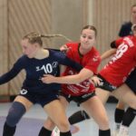 Ausgerechnet das Derby gegen Pleichach verlieren die Bergtheimer Handball-Damen… – FOTOS & VIDEOS!