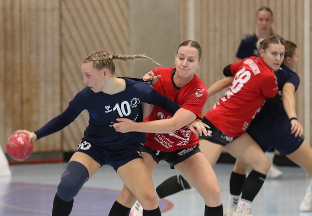 Ausgerechnet das Derby gegen Pleichach verlieren die Bergtheimer Handball-Damen… – FOTOS & VIDEOS!