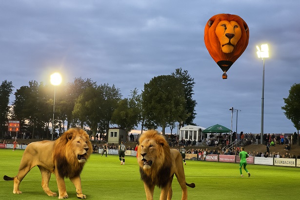 Löwen zu Gast: Spitzensport in der Region, doch es könnte eher spannend als gefährlich werden