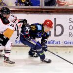 Mammuts und Eisbären stehen auf dem Programm der Mighty Dogs, die bald den Nachfolger von Ilya Zheltakov verkünden werden