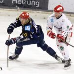 Freitag wieder zuhause: Für die Mighty Dogs beginnt die heiße Phase der Hauptrunde