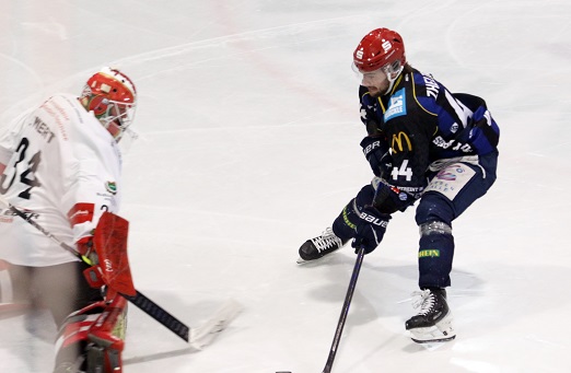 Sharks zu Gast: Wieder ein Schlager-Heimspiel zum (Fast-)Ende der Hinrunde für die Mighty Dogs