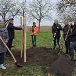 Erfolgreiche Baumpflanz-Challenge: Landkreis-Projekt lässt seltene Kirschensorten wieder aufleben