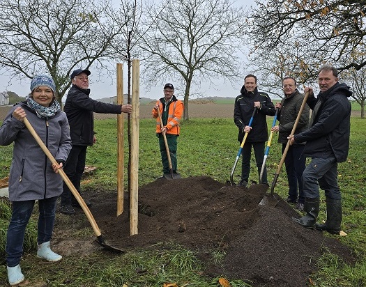 Erfolgreiche Baumpflanz-Challenge: Landkreis-Projekt lässt seltene Kirschensorten wieder aufleben