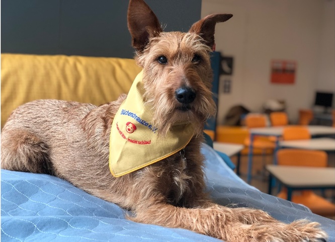 Kuschelige Lesestunde mit Schulhündin Ella in der Treffbar des ETA Hoffmann Theaters