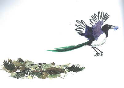 Herbst-Winterprogramm des Steigerwald-Zentrums lädt zum Mitmachen ein: Vielfältige Angebote rund um Wald, Natur und Nachhaltigkeit für alle Altersgruppen