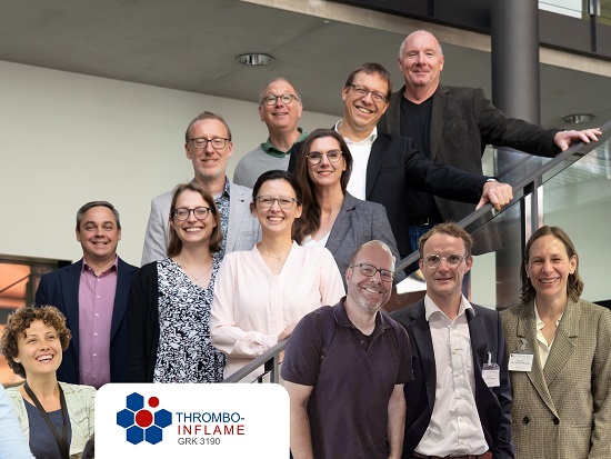 5,48 Millionen Euro für Forschung zu entzündlichen Prozessen: Neues Graduiertenkolleg „Thrombo-Inflame“ für die Universitätsmedizin