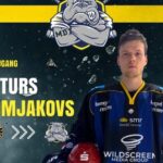 Der Nachfolger von Ilya Zheltakov: Die Mighty Dogs begrüßen als vielversprechenden Neuzugang Arturs Homjakovs