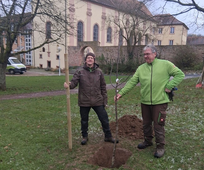 Gelebter Klimaschutz: Tagungshäuser der Diözese pflanzen Bäume für die Zukunft