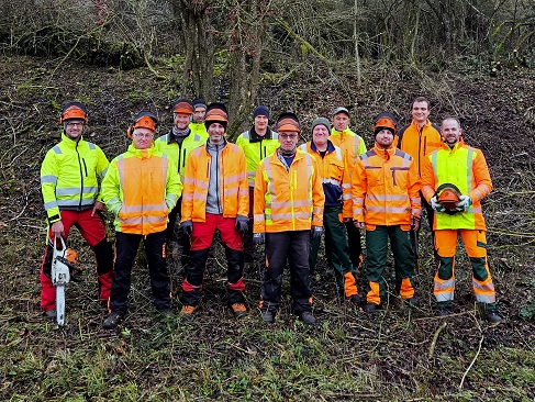 Wo die Vielfalt wächst: Landkreis Würzburg qualifiziert Bauhöfe für ökologische Heckenpflege und den richtigen Schnitt