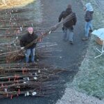 „Streuobst für alle!“ verzeichnet Rekord: 1400 neue Bäume stärken Artenvielfalt und Klimaschutz im Landkreis Würzburg