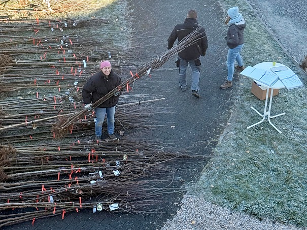 „Streuobst für alle!“ verzeichnet Rekord: 1400 neue Bäume stärken Artenvielfalt und Klimaschutz im Landkreis Würzburg