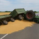 Bundesstraße 8 voller Getreide, Fahrbahn mehrere Stunden gesperrt, weil ein Traktor mit zwei Anhängern umgekippt ist