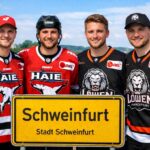 Bokk, Tuomie, Pasanen, Lobach: Es war ein erfolgreicher Freitag für die vier DEL-Profis mit Schweinfurter Wurzeln