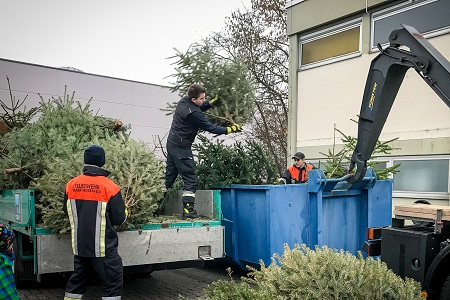 Christbaum-Sammelaktion der Marktheidenfelder Feuerwehr am Samstag, 10. Januar