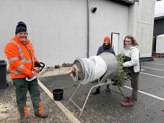 Vom Schreibtisch zur Kettensäge: Landrat Thomas Eberth unterstützt Freiwillige Feuerwehr Gerbrunn beim Christbaumverkauf