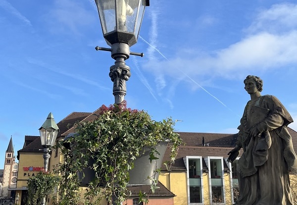 Flower Baskets Winter 2025: Für die Winterpflanzen für Würzburgs Innenstadt werden Blumenpaten gesucht