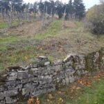 Pflege für Hochkaräter: Untere Naturschutzbehörde des Landkreises führt Maßnahmen zum Schutz hochgefährdeter Tierarten durch