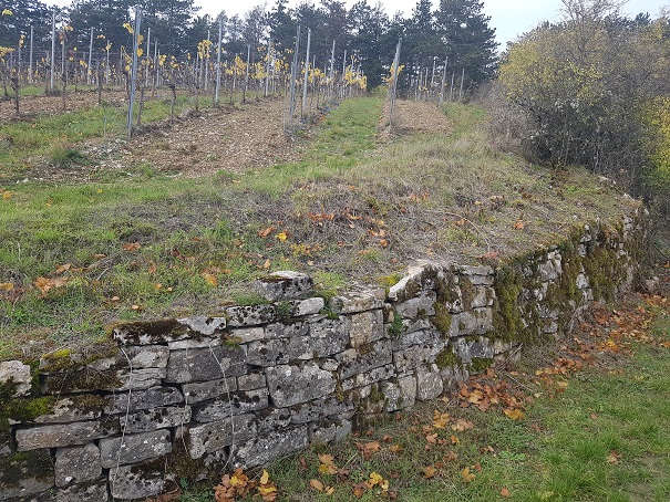 Pflege für Hochkaräter: Untere Naturschutzbehörde des Landkreises führt Maßnahmen zum Schutz hochgefährdeter Tierarten durch
