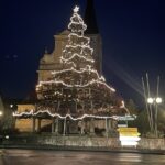Illumination im Zweijahresrhythmus: Die Grettstadter Weihnachtslinde im Lichterglanz