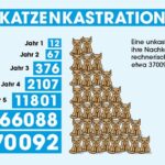 Deutliche Zunahme 2025: Immer mehr Kommunen beschließen Katzenschutzverordnungen – PETA fordert bundesweite Regelung und Heimtierschutzgesetz