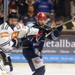 Klare Niederlage für die ersatzgeschwächten Mighty Dogs: Nun wird´s wahrscheinlich Platz zwei nach der Hauptrunde