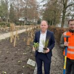 Beete rund um das Kriegerdenkmal: Umfangreiche Arbeiten am Neuen Friedhof in Kitzingen