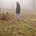 400 Baumsetzlinge für den Stadtwald in Glasofen: Schneider Electric unterstützt die Stadt Marktheidenfeld