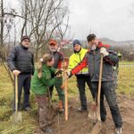 Bier für die Natur: Landkreis Würzburg löst Versprechen ein und pflanzt seltene Streuobstbäume in Winterhausen