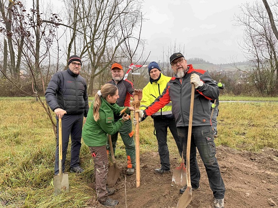 Bier für die Natur: Landkreis Würzburg löst Versprechen ein und pflanzt seltene Streuobstbäume in Winterhausen